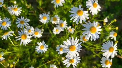 7 шілдеде Қазақстан бойынша дауылды ескерту жарияланды