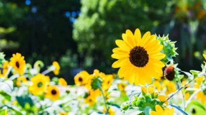 11 шілдеде бірнеше өңірде дауылды ескерту жарияланды