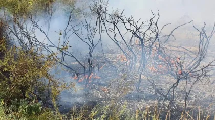 Қазақстанда бір тәулікте үш орман өрті тіркелді