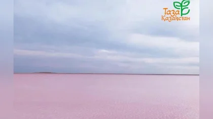 Тоқаев Көбейтұз көлін ерекше қорғалатын табиғи аумаққа айналдыруды тапсырды