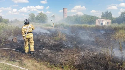 Ақмола облысында 195 гектар алқапты шарпыған ірі өрт сөндірілді