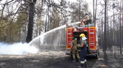 Қазақстанда бір күнде үш орман өрті тіркелді (ВИДЕО)