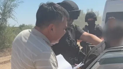 Павлодар облысында мал ұрлығымен айналысқан топ ұсталды (ВИДЕО)