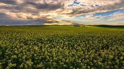 28 шілдеде Қазақстанның барлық өңірінде дауылды ескерту жарияланды