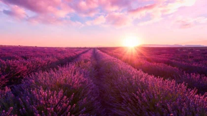 29 шілдеде Қазақстанның қай өңірлерінде аптап ыстық болады?