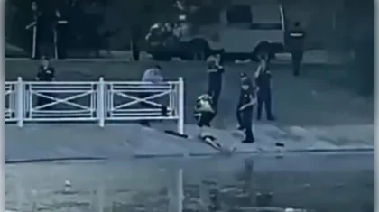 Талдықорғанда жағажайдан ер адамның мәйіті табылды: полиция қылмыстық іс қозғады