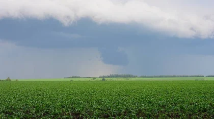 31 шілдеде Қазақстанның бірнеше өңірінде дауылды ескерту жарияланды