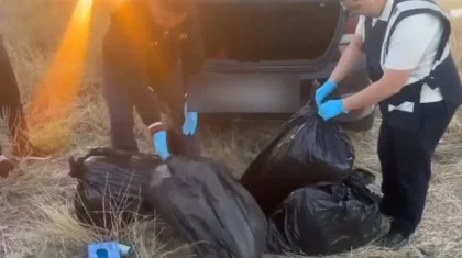 Жамбыл облысынан Алматыға бірнеше қап есірткі апармақ болған тұрғын ұсталды (ВИДЕО)