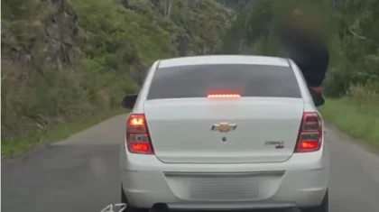 ШҚО-да әсерлі видео түсірмек болған жүргізуші мен жолаушы жауапқа тартылды