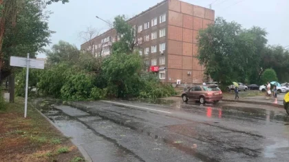 Өскеменде қолайсыз ауа райы: ағаштар құлап, көшелерді су басты (ВИДЕО)
