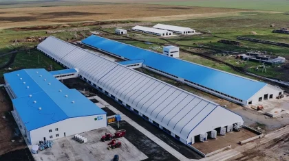 Тәулігіне 150 тонна: Солтүстік Қазақстанда Орталық Азиядағы ең ірі сүт фермасы ашылды