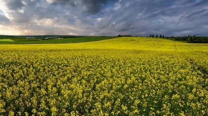 9 тамызда бірнеше өңірде дауылды ескерту жарияланды