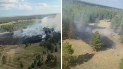Қазақстанда бір аптада 47 орман өрті тіркелді (ВИДЕО)