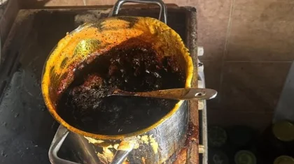 Павлодар тұрғыны тосап қайнатамын деп үйін өртеп ала жаздады