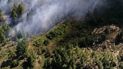 Қазақстанның орман қорында бір күнде он өрт тіркелді