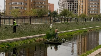 «Таза Қазақстан»: Астанада Сарыбұлақ өзенін тазарту жұмысы жүріп жатыр