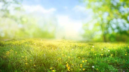 21 тамызда Қазақстанның барлық өңірінде дауылды ескерту жарияланды