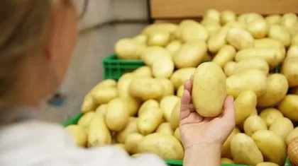 Қазақстанда пияз, сәбіз, картоп пен қырыққабат арзандап жатыр