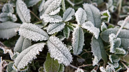 Түнде -2°C-қа дейін үсік, жаңбыр мен найзағай: 5 қыркүйекке арналған ауа райы болжамы