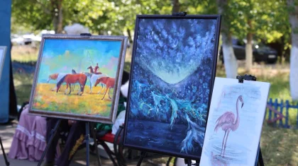 Flamingo Fest: Ақмола облысында мәдени-туристік фестиваль өтіп жатыр