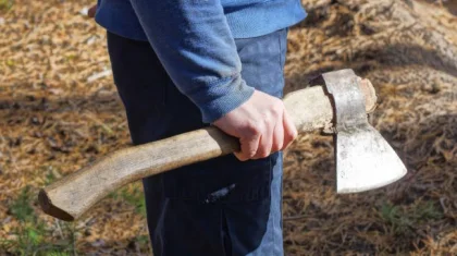 СҚО-да зейнеткер 89 жастағы анасын балталап өлтірген