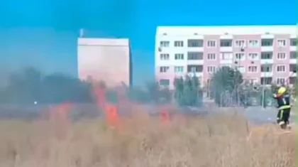 Алматыда ашық аумақта құрғақ шөп өртенді