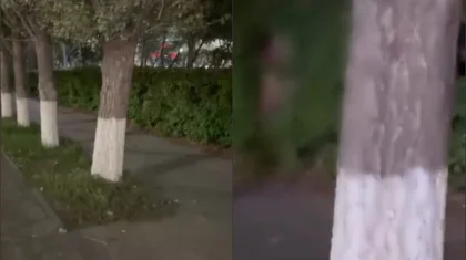 Астанада ер адам бұталардың арасына тығылып, ұятсыз әрекет жасаған (ВИДЕО)