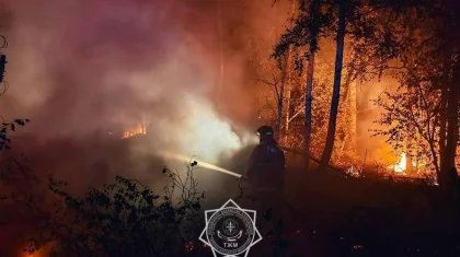 Қостанайда жүздеген гектар жер өртке оранды: оның бір бөлігі орман аумағына өтіп кеткен
