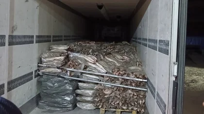 Атырау облысында 17 тоннадан астам заңсыз балық тәркіленді