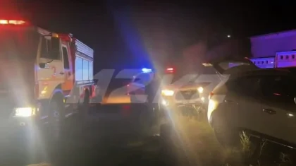 Алматы облысында шөп өрті сөндірілді
