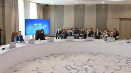 Coca-Cola, Samsung жобалары: Шымкенттің әлеуеті Қазақстан-Венгрия бизнес-форумында таныстырылды