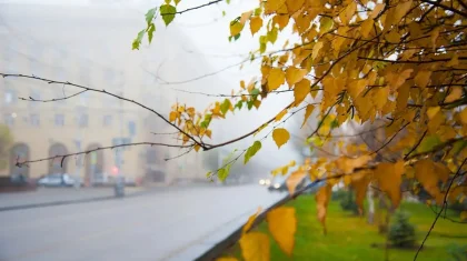 Қазақстанда 19 қазанда жаңбыр жауып, тұман түсуі мүмкін