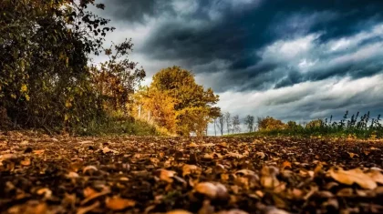 Қыстың лебі: алдағы күндері ауа райы 10 градусқа дейін суытады