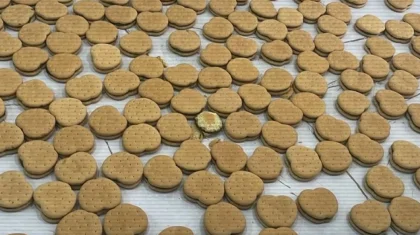 Астанада бес жігіт 238 печеньенің ішіне есірткі салып, оны қала тұрғындарына күні-түні сатқан (ВИДЕО)