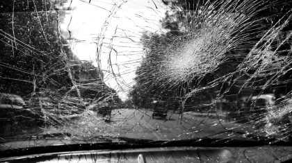 Тұманда жантүршігерлік жол апаты: әйел көлігімен бір үйір жылқыға соғылды