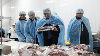 Алматы облысында ет өңдеу зауыты мен жаңа трассалық кешен ашылды