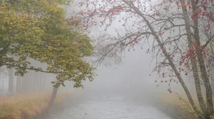 Жаңбыр, қар: 30 қазанда кей өңірде күн суытады