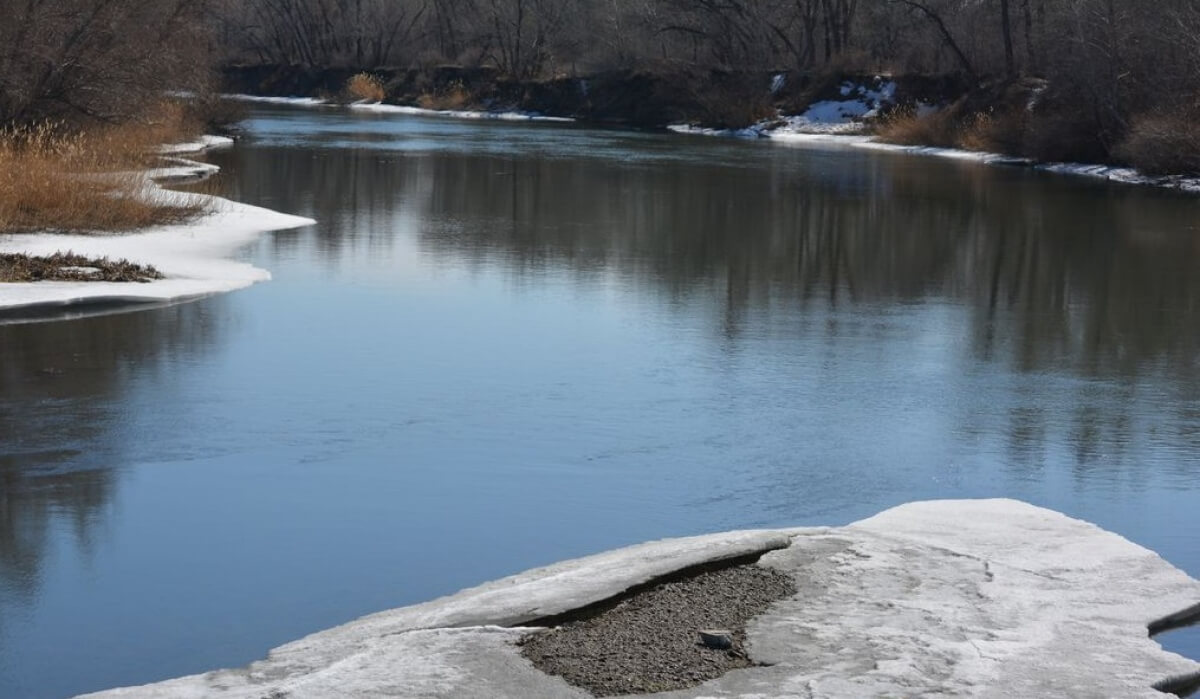 Река урал уровень. Река ЦОН. Воды Урала. Река Урал в Уральске фото. Уровень воды в Урале.