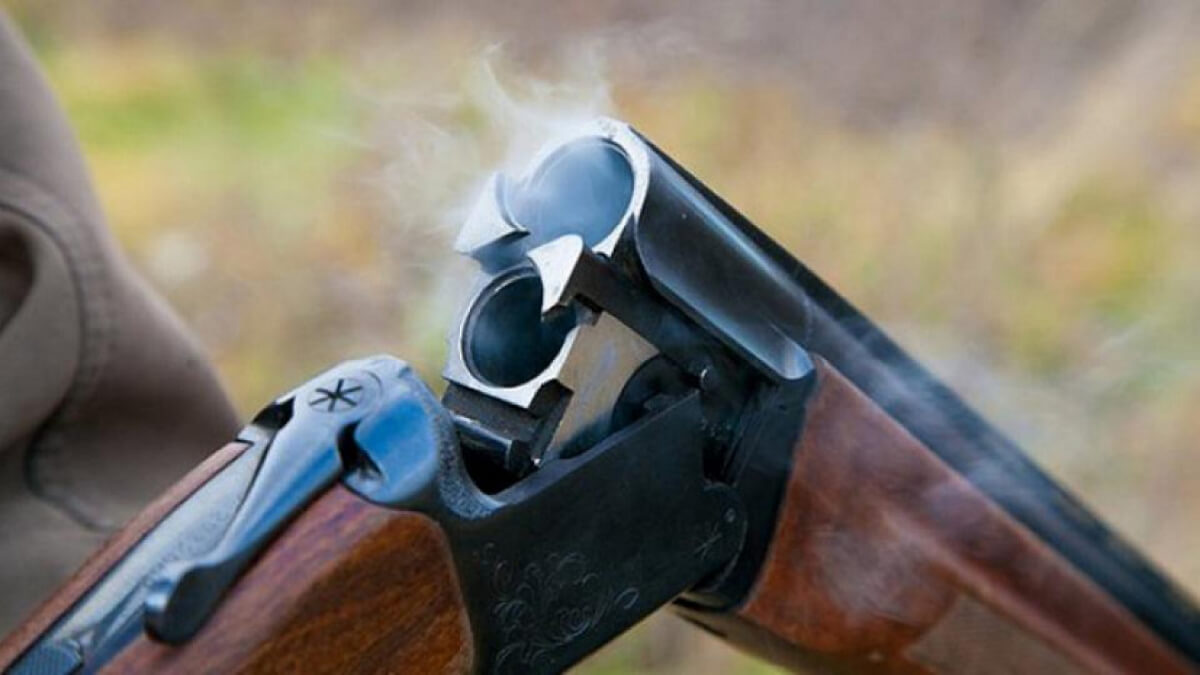 Алматы облысында экс-полицей үйір жылқыға оқ жаудырған
