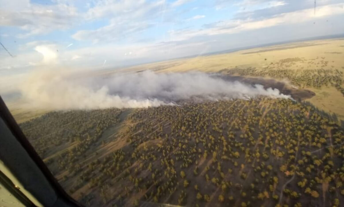Абай облысында орман өртеніп жатыр