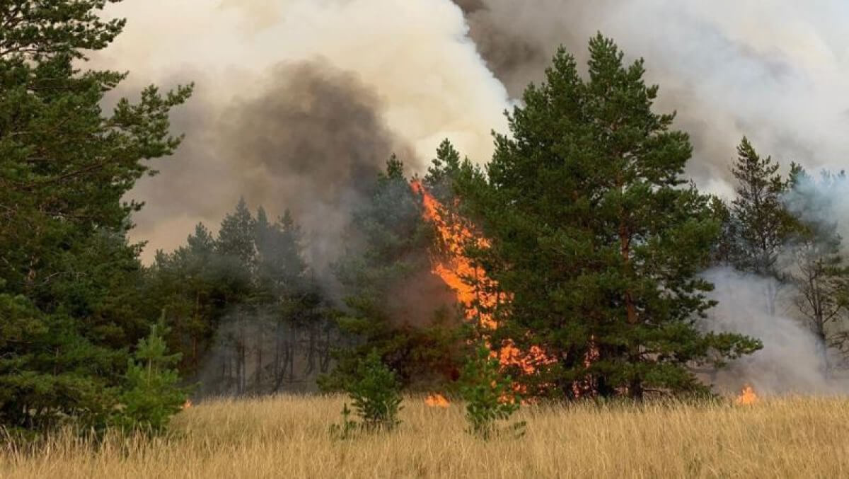Қостанайдағы өрт: тағы бір ауылдың тұрғындары көшіріліп жатыр