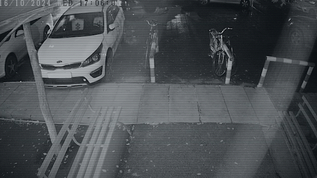 Яна Легкодимованың көлік ішінде өлген сәті: полиция қанды оқиғаның видеосын жариялады