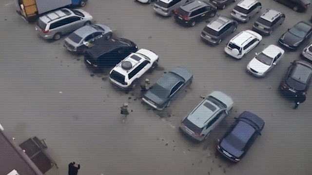 Қазақстаннан мыңдаған тонна контрабандалық жолмен шетелге жіберілген