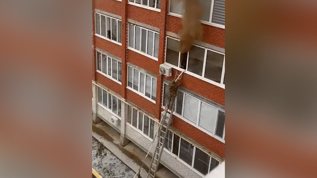 Оралда көпқабатты үйде адам шошырлық жарылыс болып, балконының күл-талқанын шығарды (ВИДЕО)