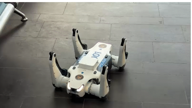 Астанада робот иттер жұмысқа шықты (ВИДЕО)