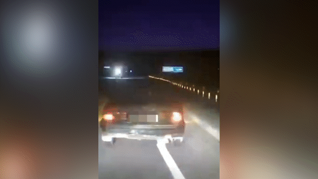 Құрбан айт алдындағы ұрлық: ШҚО-да ер адам көршісінің төрт қойын көлігінің багажына салып алған (ВИДЕО)