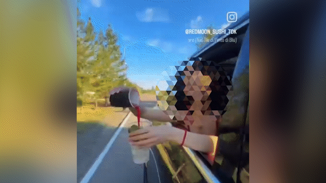 Талдықорғанда хайп үшін жолға қоқыс шашқан бойжеткен жазаланды (ВИДЕО)
