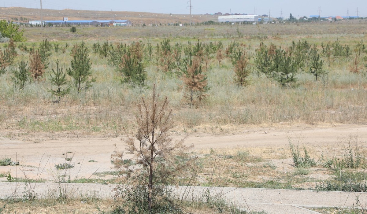 Мәскеуде 500 рубльге дейін минет BDSM порно санаттары