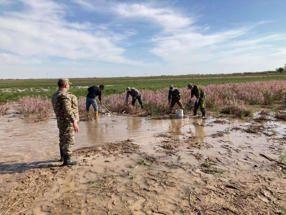 Таңертеңгі құмарлық секс туралы бейнені қараңыз Жетілген орыс әйелдер секс онлайн