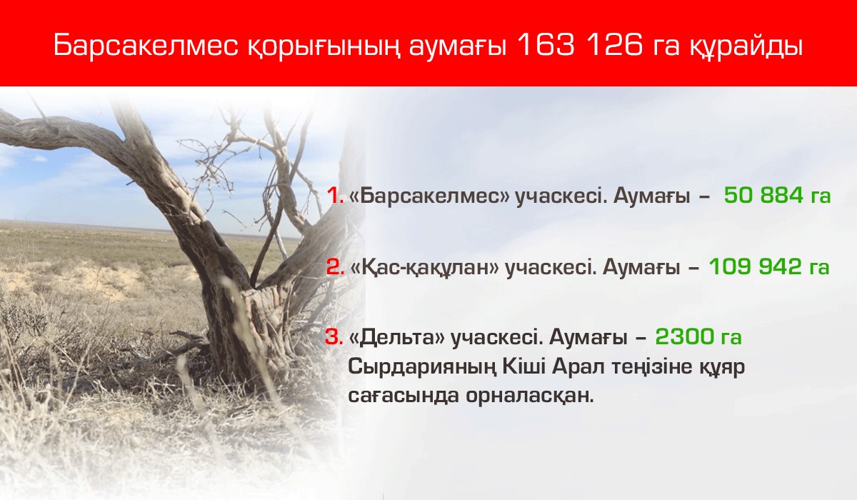 Интернеттегі ерлі-зайыптыларға арналған ұйықтау позициялары